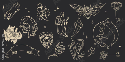 Set of aesthetic mystical elements on dark background. Witchcraft elements in doodle style. Isolated esoteric illustrations. photo
