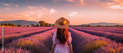 Young pretty woman white dress standing between violet lavender field at sunny day
