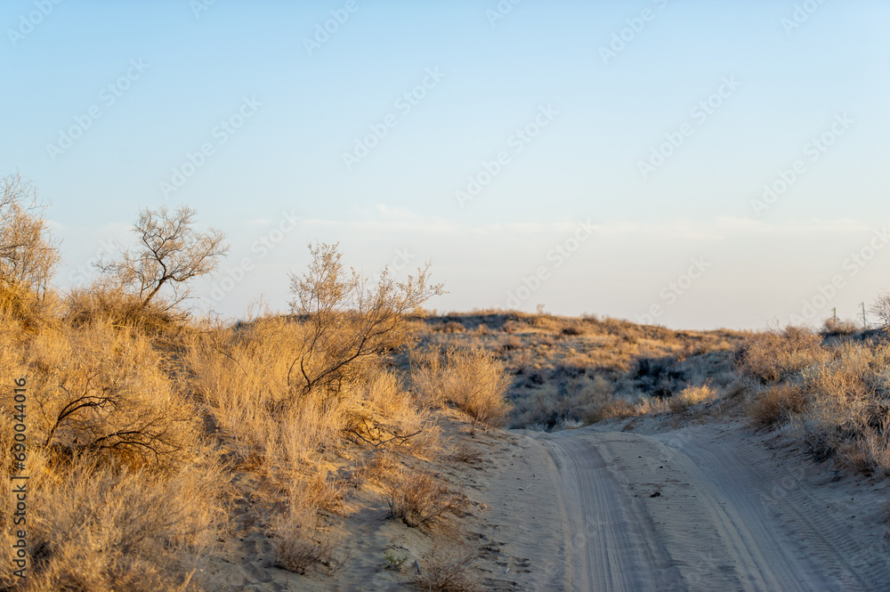 Enjoy the beauty of autumn in the steppe. Watch the sunset over the golden dunes. Feel the serenity and magic of a peaceful autumn evening.