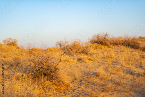 Enjoy the beauty of an autumn sunset in the desert. Witness the vibrant and warm colors of the dunes at dusk. Enjoy the tranquility and grandeur of nature s stunning spectacle.