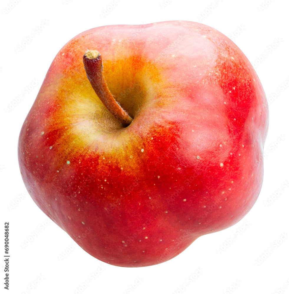 Fresh Red Star Apple Isolated On White Background Star Apple Isolated On White PNG File Stock fresh-red-star-apple-isolated-on-white-background-star-apple-isolated-on-white-png-file-stock