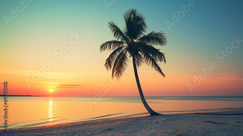 Lonely palm tree at the sand beach