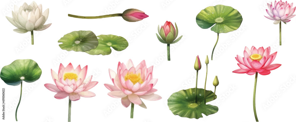 Φωτογραφία Set of light watercolor lily pads and lotus flowers isolated on white background