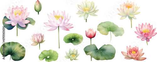 Set of light watercolor lily pads and lotus flowers isolated on white background.