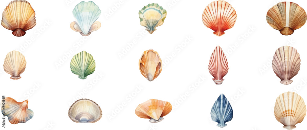 Set of various seashells isolated on white background. Set of various seashells isolated on white background.