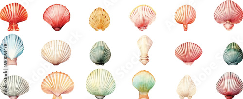 Set of various seashells isolated on white background.