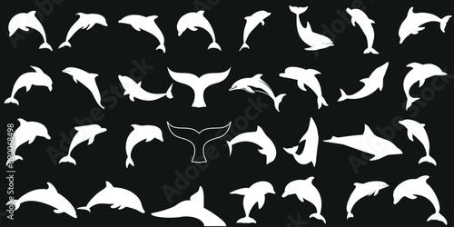 Dolphin vector illustration, Depicting marine life, ocean, sea creatures, Dolphins, mammals, fish, aquatic animals, cetaceans, porpoises, whales, orcas, beluga, narwhal, humpback, fin, dolphin