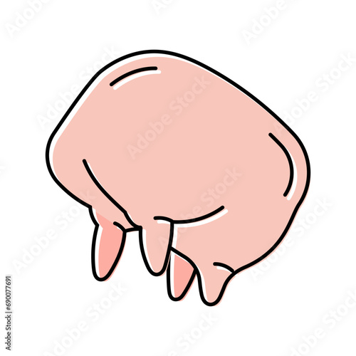 cow udder color icon vector. cow udder sign. isolated symbol illustration