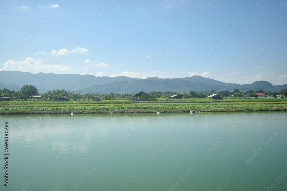 Fototapeta premium local fish farm