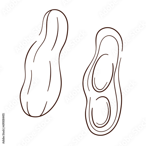 Peanut icons line art style. Hand drawn peanut sketch for template label, packing and emblem design. Vector illustration isolated on a white background.