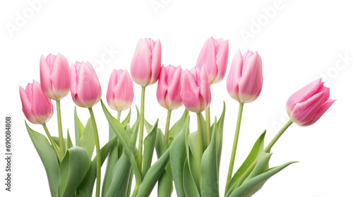 Pink tulips bouquet isolated on transparent background, png