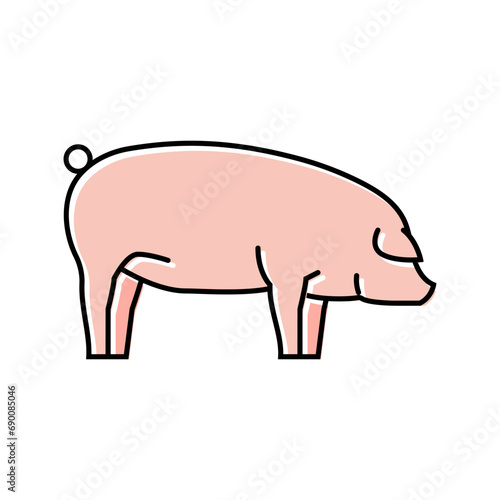 landrace pig breed color icon vector. landrace pig breed sign. isolated symbol illustration
