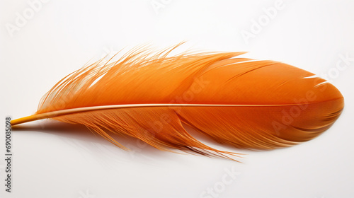 Beautiful orange bird feather isolated on white  AI Generative.