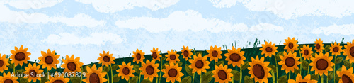 Fototapeta Naklejka Na Ścianę i Meble -  Sunflowers and sky, summer landscape. Nature panorama, wide background. Sun flowers, agriculture field. Blossomed plantation, countryside rural banner, panoramic view. Flat vector illustration
