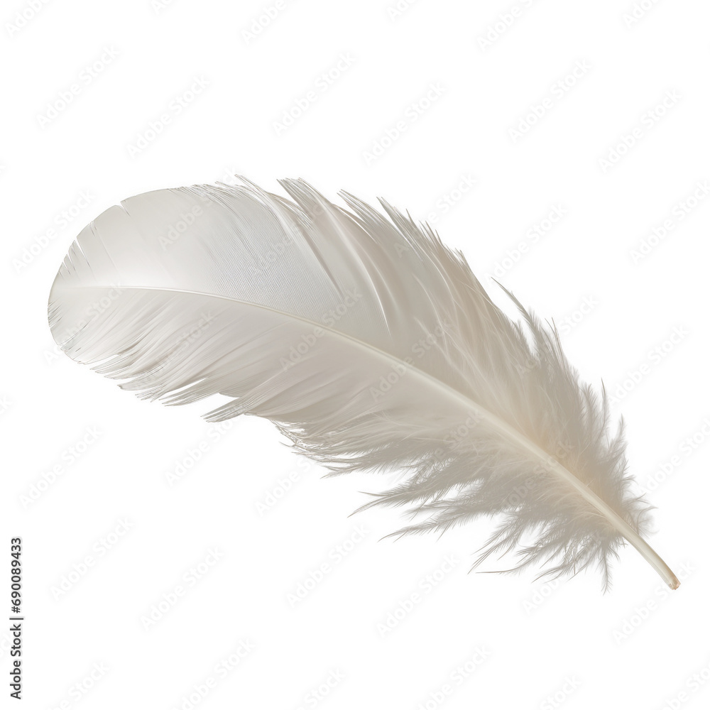 Obraz premium feather isolated on transparent background