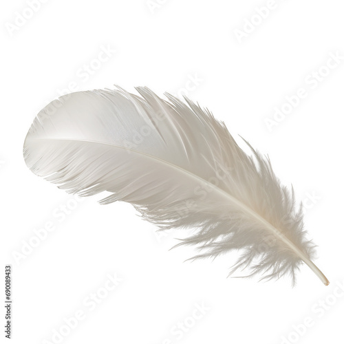feather isolated on transparent background