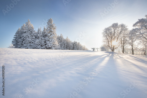 Incredible winter landscape with snowcapped trees under bright sunny light in frosty morning. Amazing nature scenery in winter mountain valley. Awesome natural Background. Christmas time Universal use #690091210