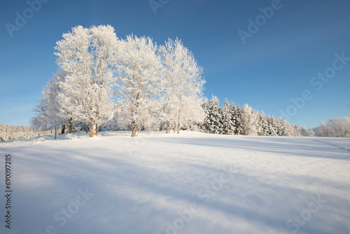 Incredible winter landscape with snowcapped trees under bright sunny light in frosty morning. Amazing nature scenery in winter mountain valley. Awesome natural Background. Christmas time Universal use