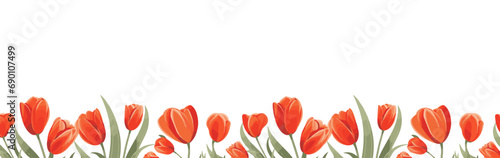 spring background. tulip flower bottom border under the wallpaper. free space for text. #690107499