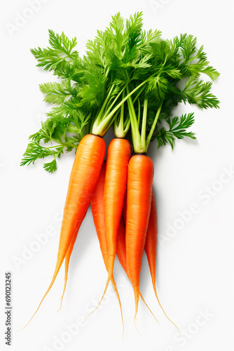 Carrot isolate on a white background. Selective focus.