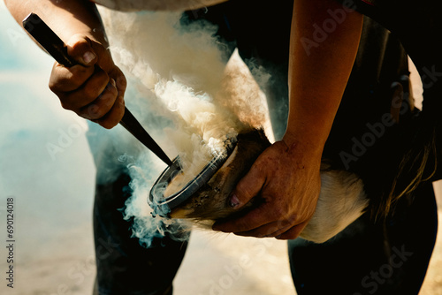 Horse having their feet done by a farrier. 