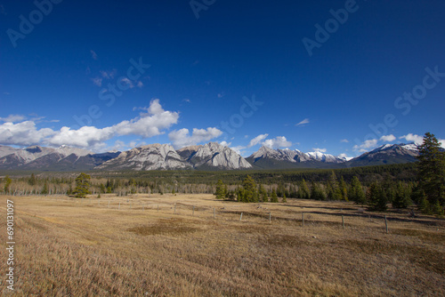 Veld in the Rocky Mountains in Canada