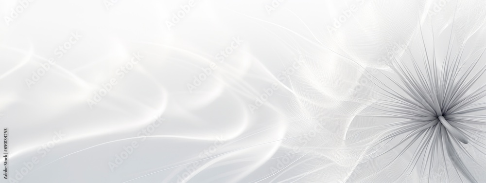  abstract close up of dandelion in white and gray, horizontal wallpaper with large copy space for text. Condolence, grieving card, loss, funerals, support. - obrazy, fototapety, plakaty 