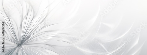  abstract close up of dandelion in white and gray, horizontal wallpaper with large copy space for text. Condolence, grieving card, loss, funerals, support.