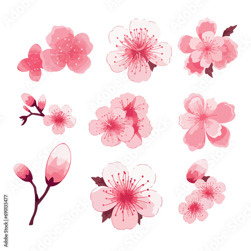 Pink Japanese cherry blossoms vector Fototapeta