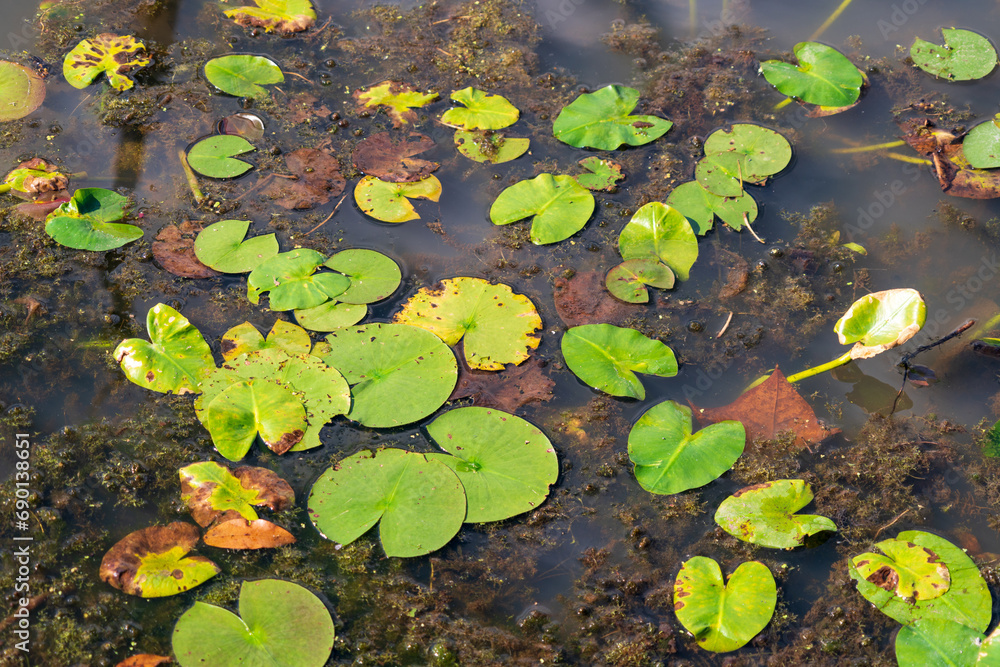 Wetlands at Cuyahoga Valley National Park in Ohio Wetlands at Cuyahoga Valley National Park in Ohio
