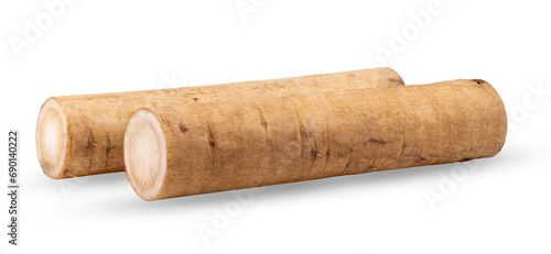 Foto burdock roots or kobo isolated on transparent png