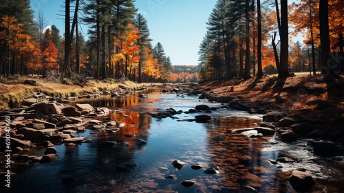 A dense forest with vibrant autumn colors and a meandering stream, capturing the essence of a peaceful and scenic fall day