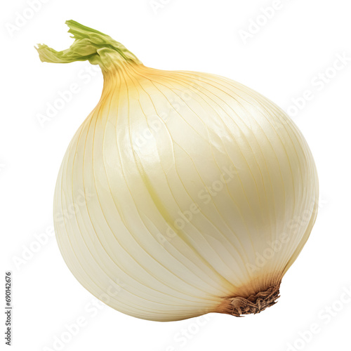 white onion isolated on a transparent background