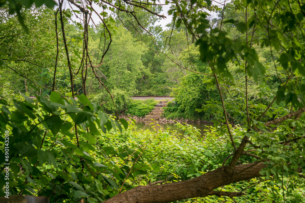 Naklejka premium The Forest Floor, Cuyahoga Valley National Park in Ohio