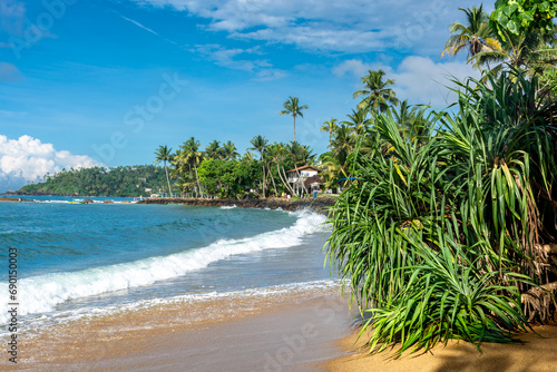 Beautiful Indian Ocean coastline on the island of Sri Lanka  Mirissa.