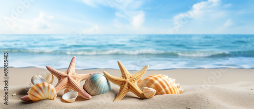 shells and starfish on the sand against the background of the sea
