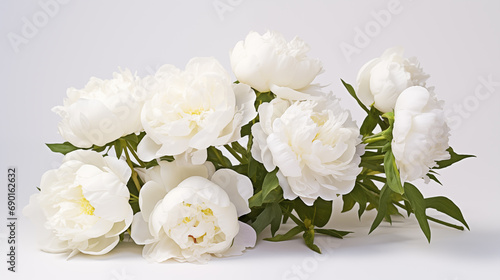 Bouquet of stylish peonies close-up. White peony flowers. Close-up of flower petals. Floral greeting card or wallpaper. Delicate abstract floral pastel background. Greeting card. Generated AI