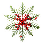 Fir Snowflake with red Mistletoe isolated