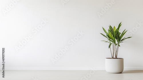 A minimalistic white room with a single potted green plant in the corner, offering a refreshing and natural copy space