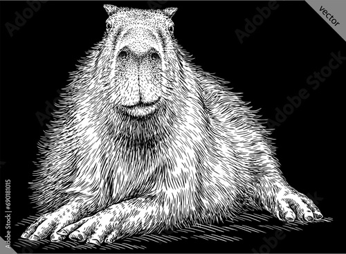 Vintage engraving isolated capybara set illustration rodent ink sketch. Gnawer background silhouette art. Black and white hand drawn vector image