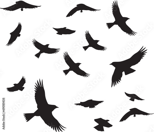 Set of black bird silhouette isolated on white background
