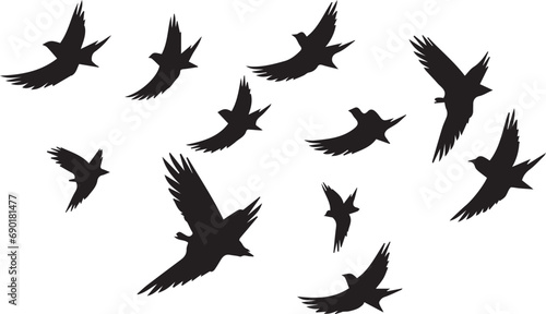 Set of black bird silhouette isolated on white background photo