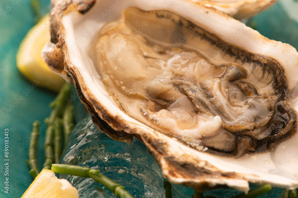 Fresh oyster with Marsh Samphire Fresh oyster with Marsh Samphire