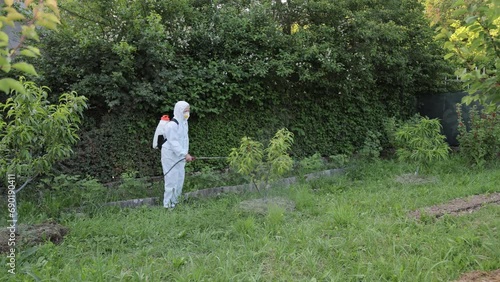 A woman in protective glasses, spraying fungicides on a flowering fruit tree against plant diseases and pests. A rechargeable dispenser with pesticides in the garden is used