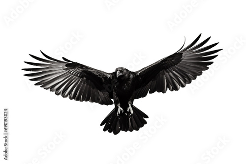 Ethereal Flight of a Crow