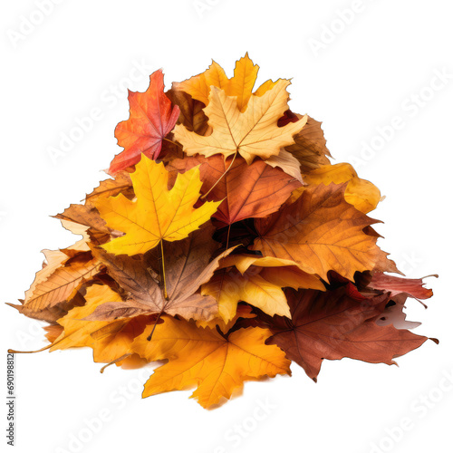 Pile of autumn leaves isolated on transparent or white background, png