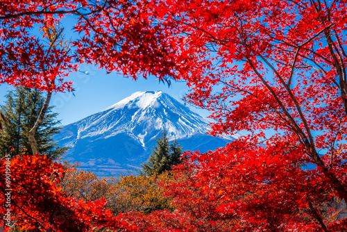 Mount Fuji framed with red maple leaves beautifully in autumn.
