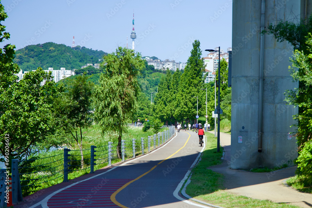Fototapeta premium Scenic Routes: Bike Paths of Ttukseom Hangang Park under Seongsu Bridge in Seoul