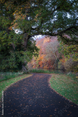 Footpath running next to Liffey River under tree arch. Beautiful trees and forest in vibrant autumn colours in St. Catherines Park, Dublin, Ireland photo