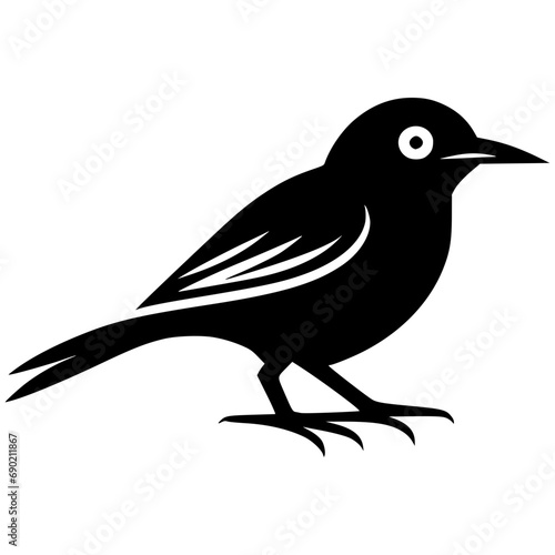 illustration of a bird